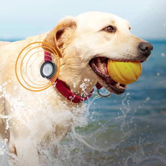 Etui pour Airtag étanche Catalyst – Image 3